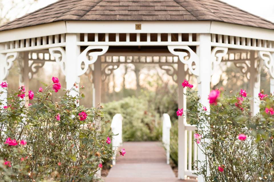 Colorful blooms