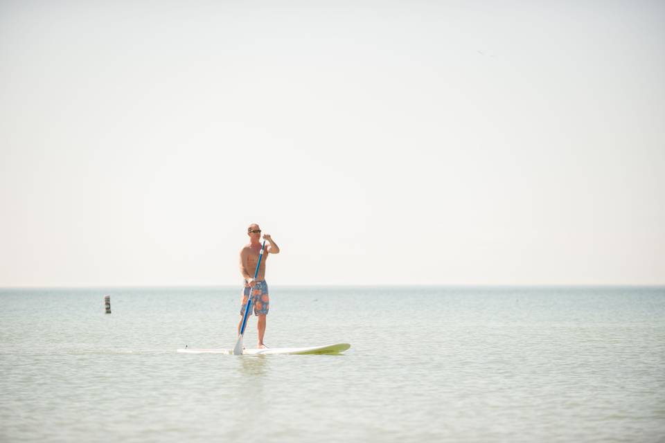 Paddleboards available for rent at our beach club