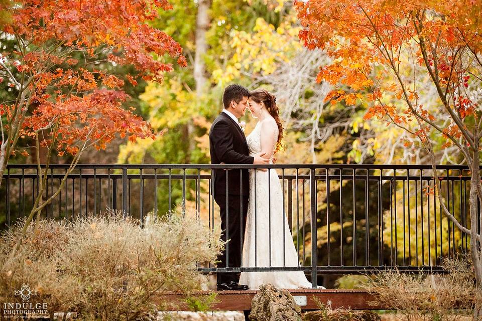 Indulge Wedding Photography