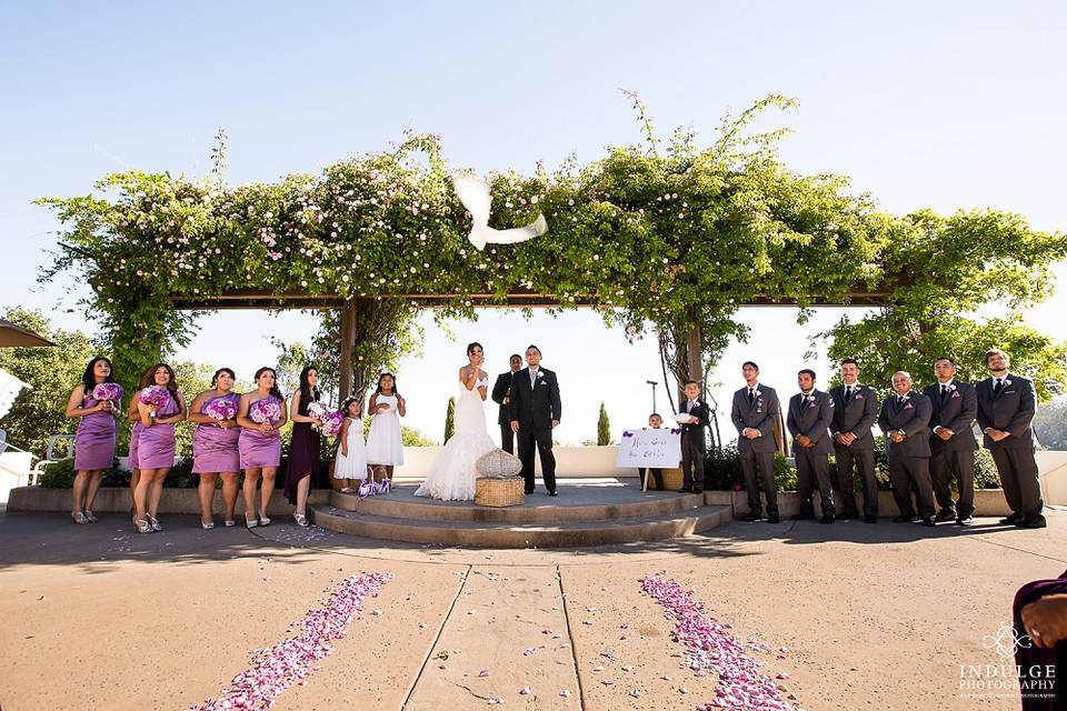 Indulge Wedding Photography