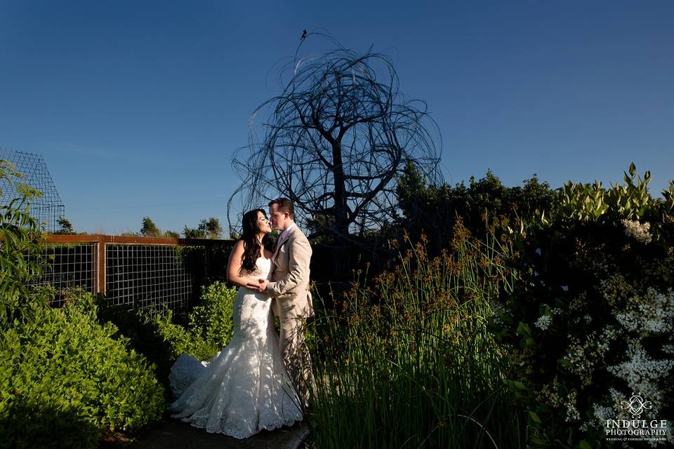 Indulge Wedding Photography
