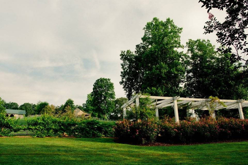 Greenery at the venue