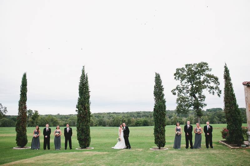 Cypress Trees