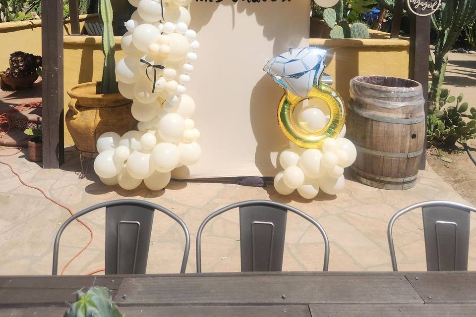 Elegant Balloon Display
