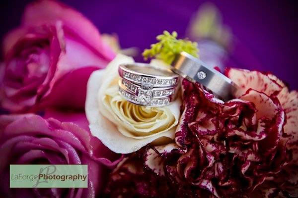 LaForge Photography