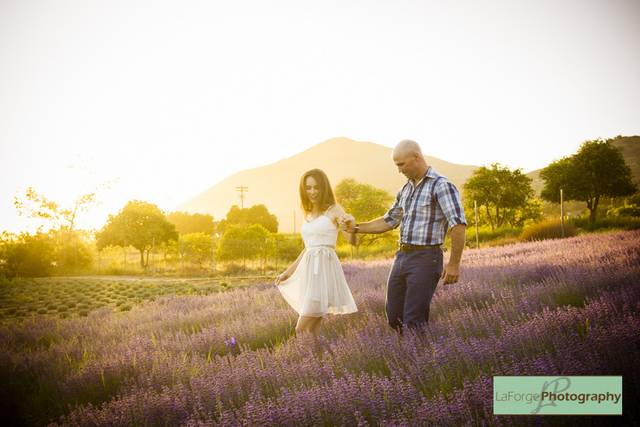 LaForge Photography
