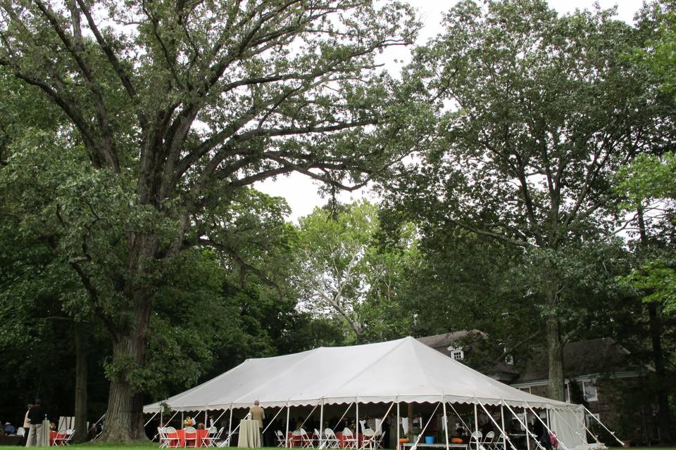 Tented Rehearsal Dinner