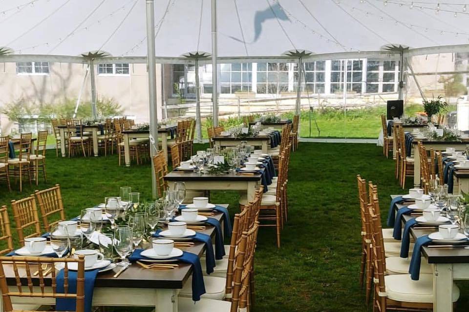 Gold chairs, Sailcloth tent