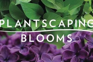 Plantscaping & Blooms