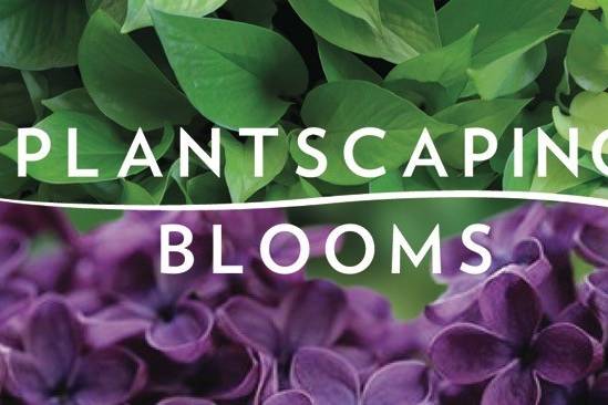 Plantscaping & Blooms
