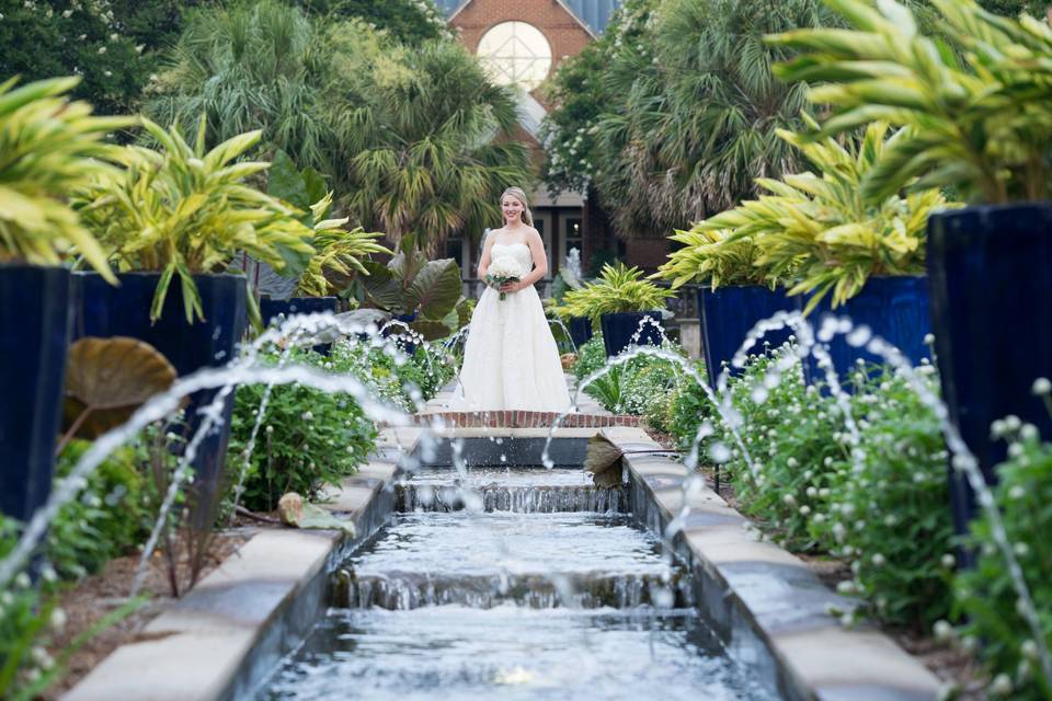 Botanical garden shoot