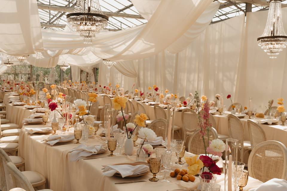 Linar Eventi: Drapes