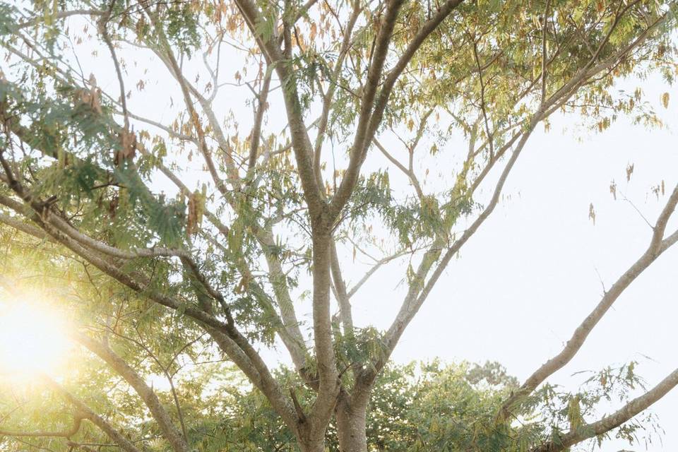 Pensacola wedding photographer