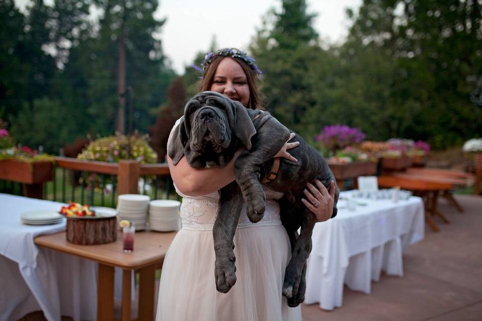 Andi Watkins Photography