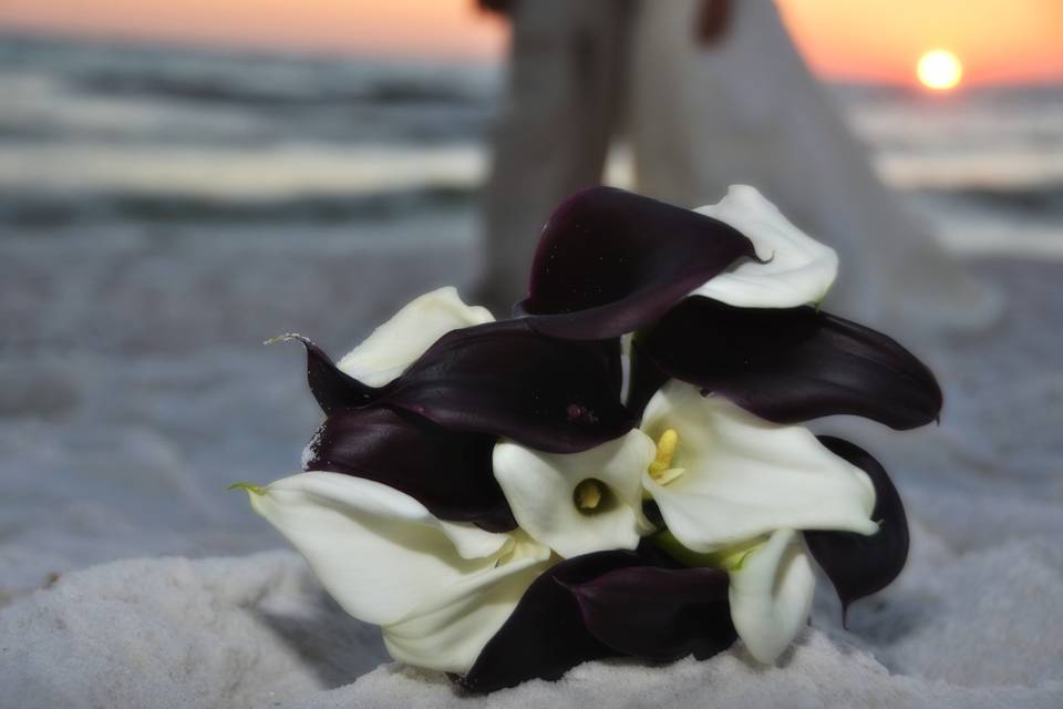 Jeani Waters Photography