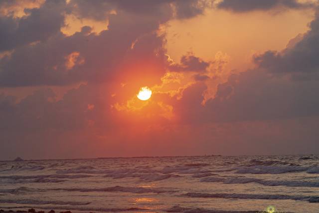 2024 Port Aransas