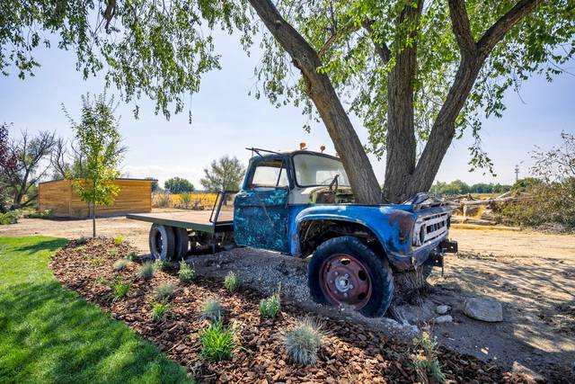 Rustic Daisy Barn - Barn & Farm Weddings - Meridian, ID - WeddingWire