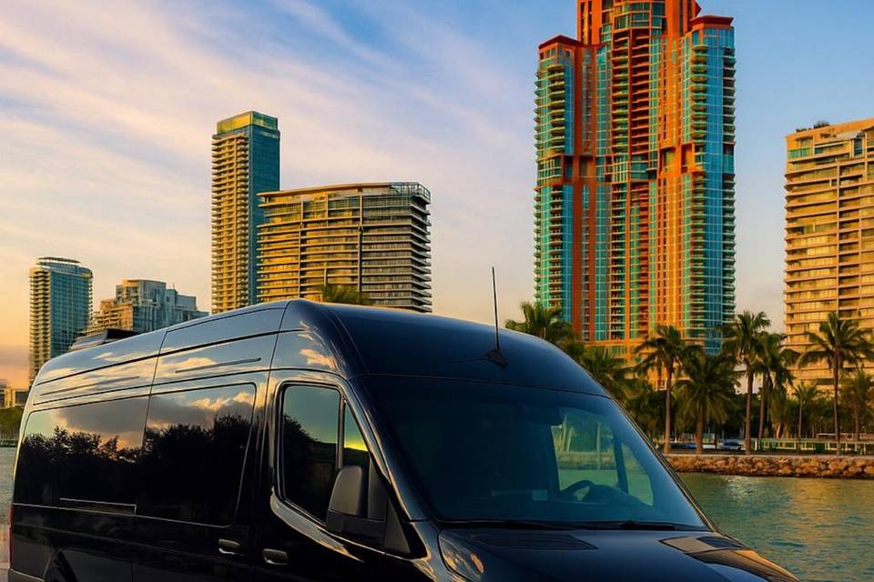 Mercedes Sprinter Van 13 pax