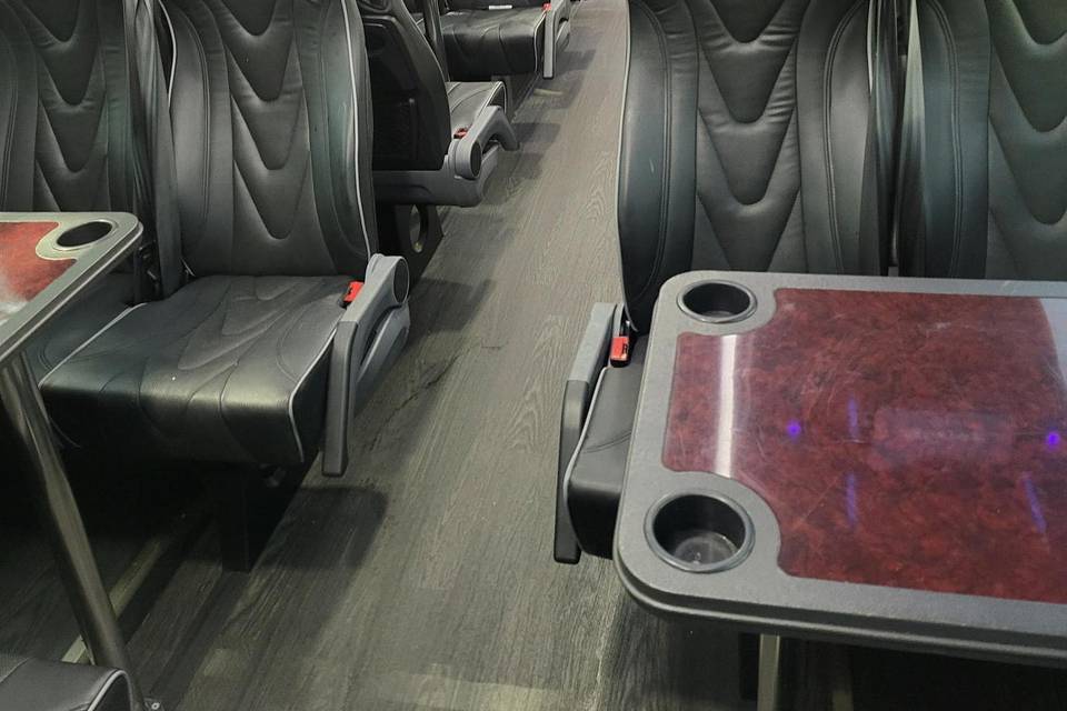 33 Passenger coaches