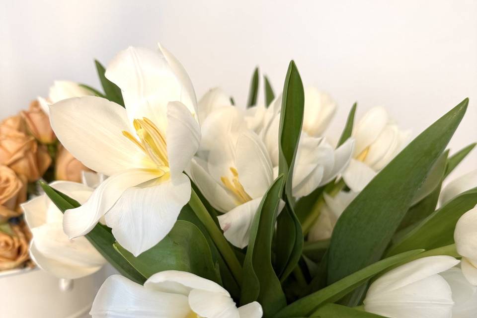 Spring Florals