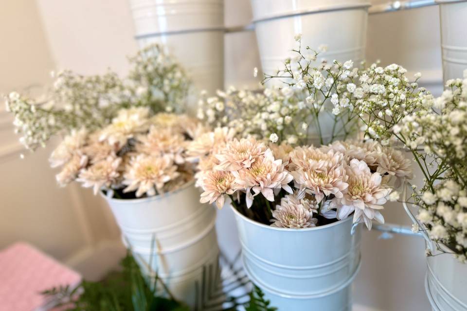 Carnations