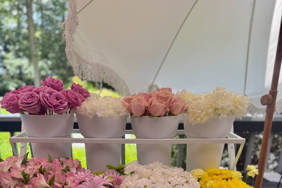 Bloom Bar Setup
