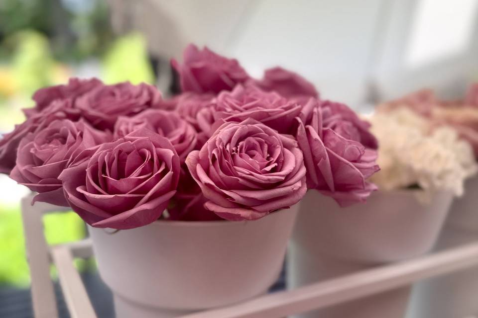 Soft Pastels