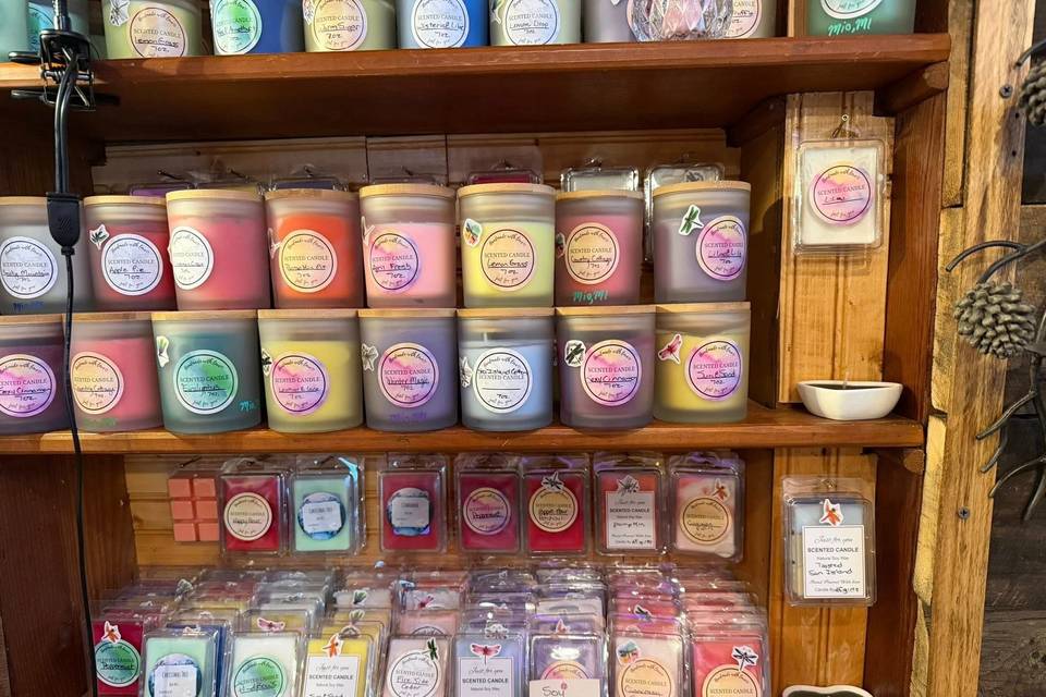 Dragonfly Dreams Floral