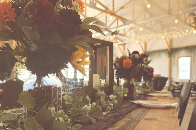Aedreanna Scott Events