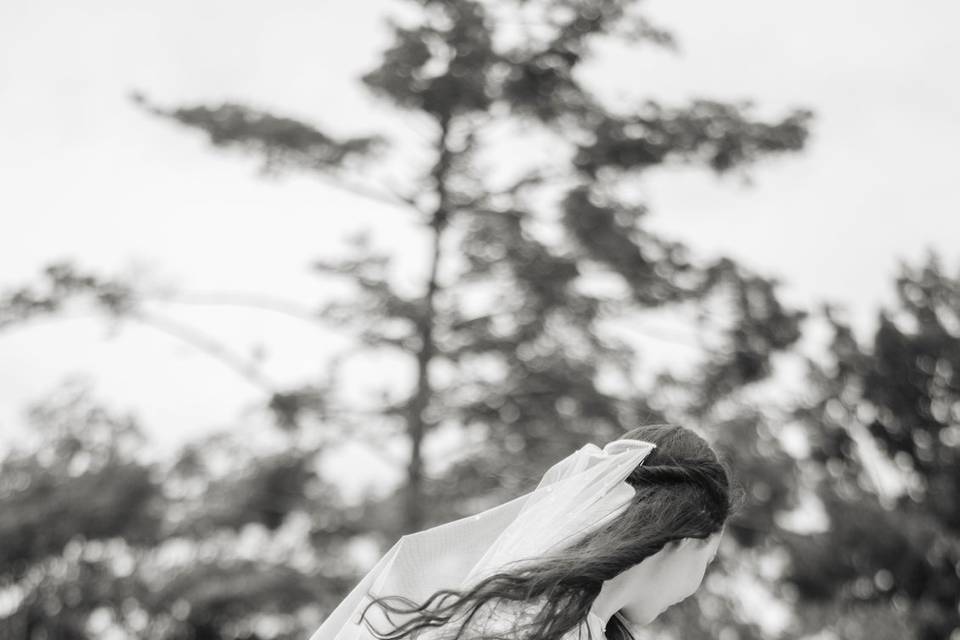 Bride twirling