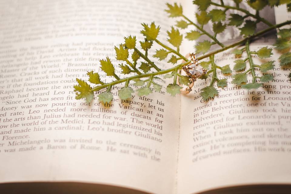 Maddie Elle Photography