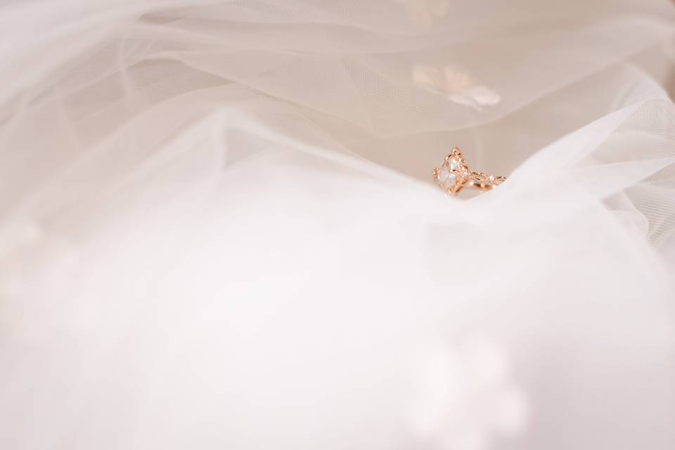 Ring on veil