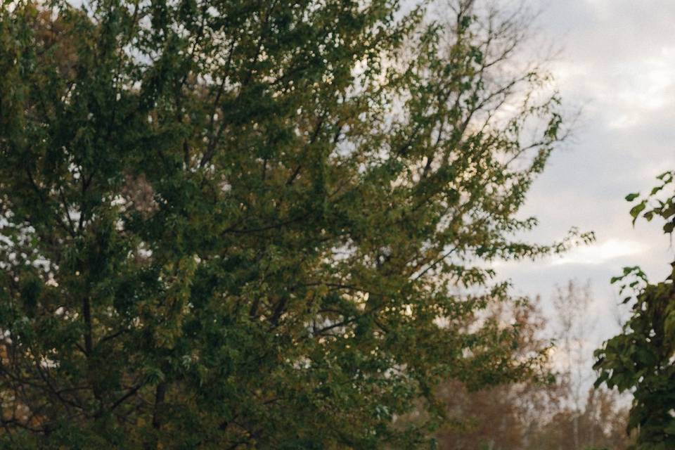 Walters & Co Photography