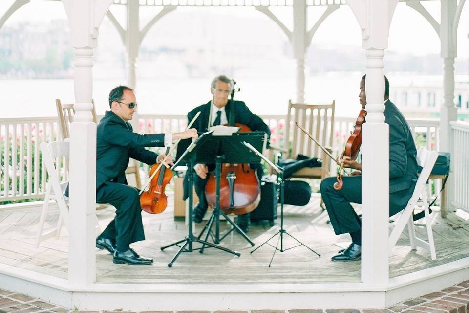 Harbor Lawn Gazebo