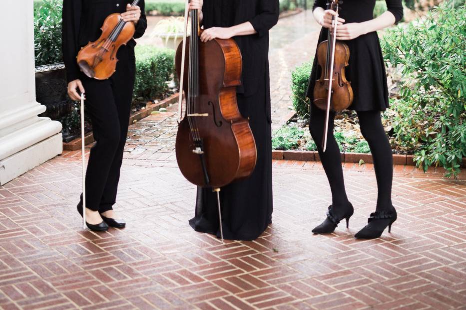 String Trio in Charlotte