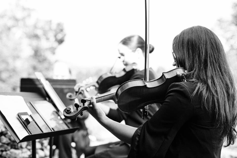 Violinist in Blowing Rock