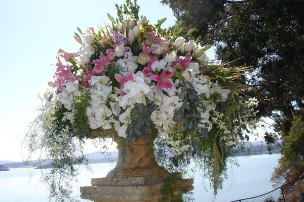 Rafael Florist