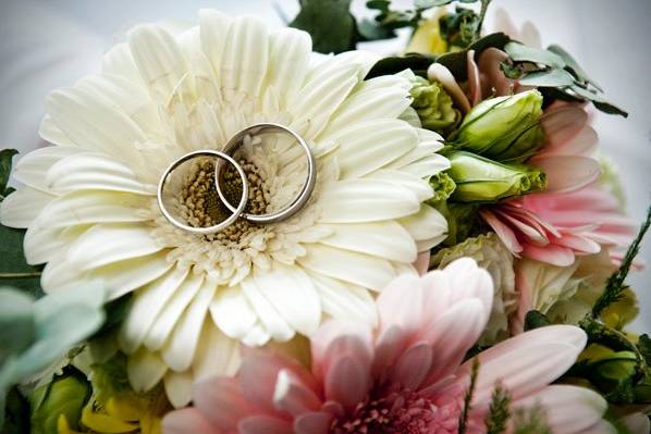 Full Circle Photography & Design