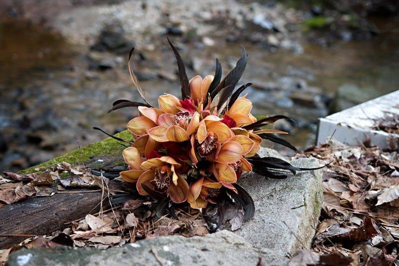 Chocolate Orchids, Red Roses