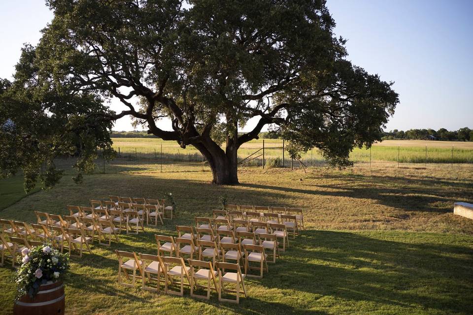 Wedding Tree