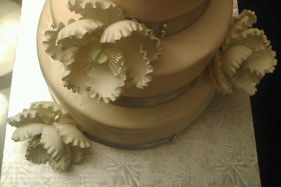 Carina e Dolce, Specialty Cakes & Cookies