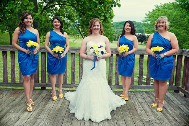 Bride and bridesmaids