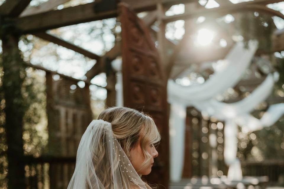 Monica Jeane Photography