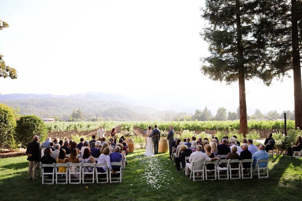 This Couple Planned Their California Winery Wedding in Just 8 Months