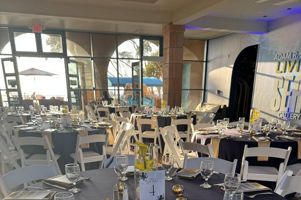 Aquarium Centerpiece