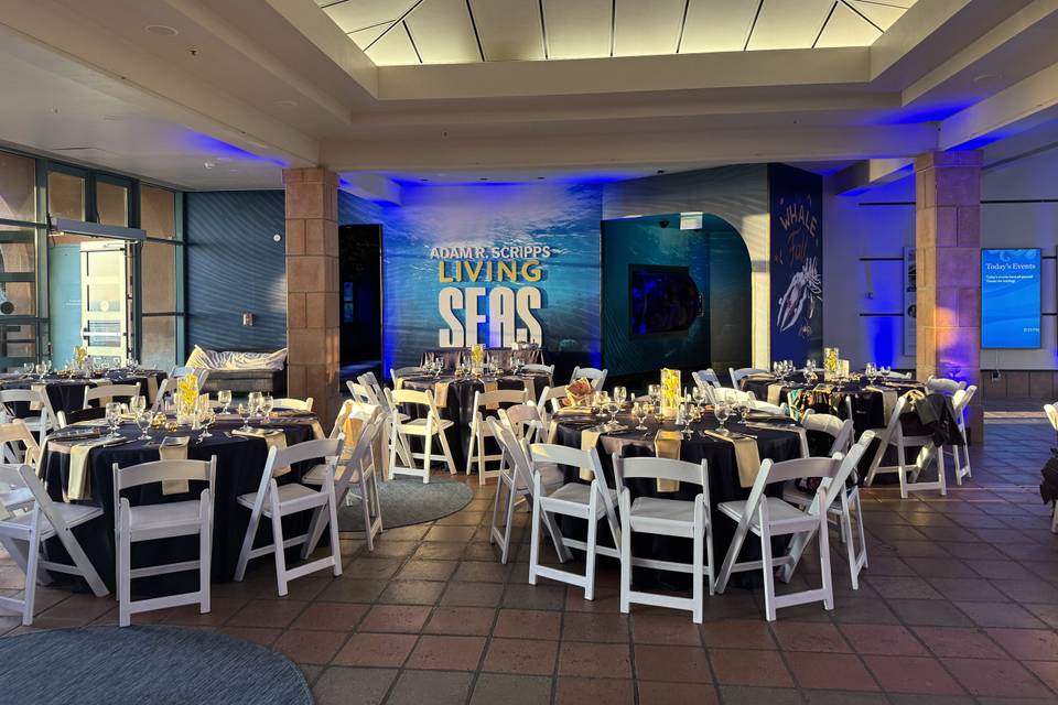 Aquarium Wedding Reception