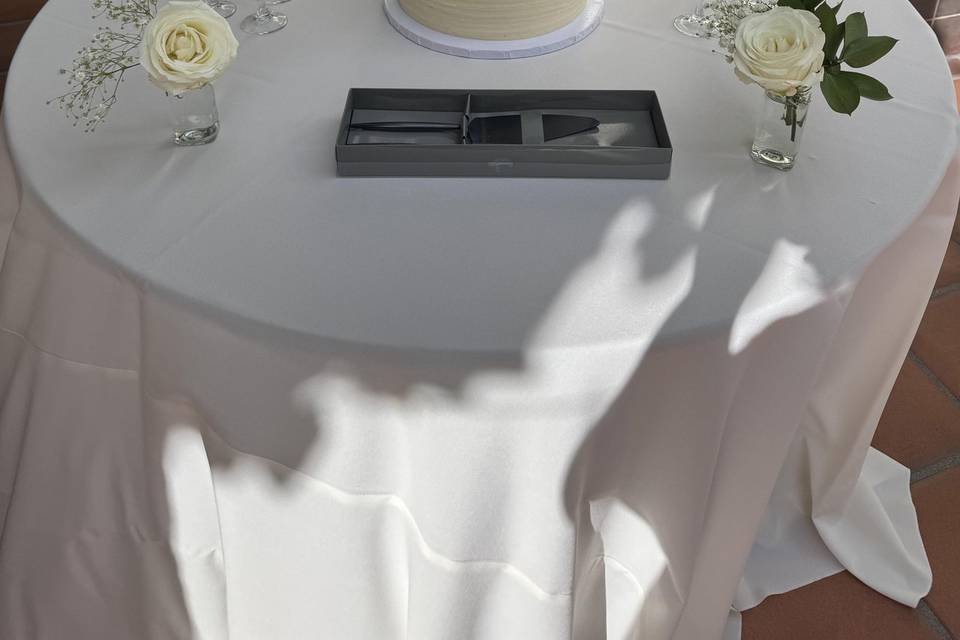 Twilight-esque Cake
