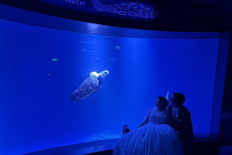 Aquarium Couple
