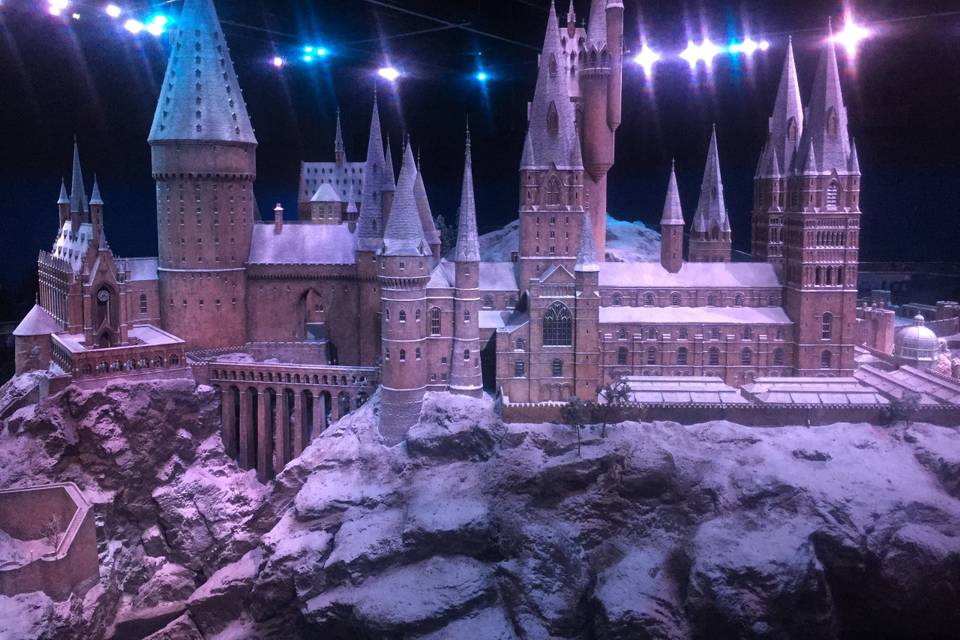 See the set of Harry Potter