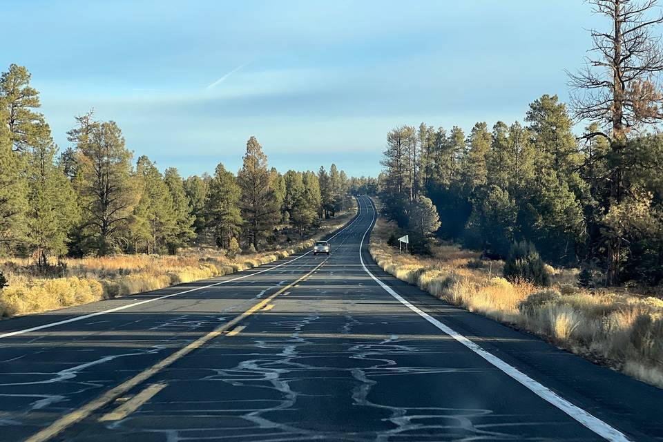 Head on the road